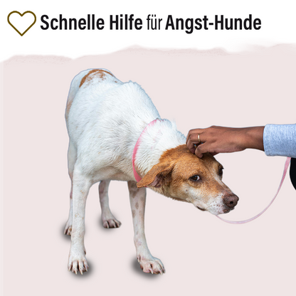 Wuff Relax Kräuter-Band - Limawo
